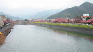Kawazu